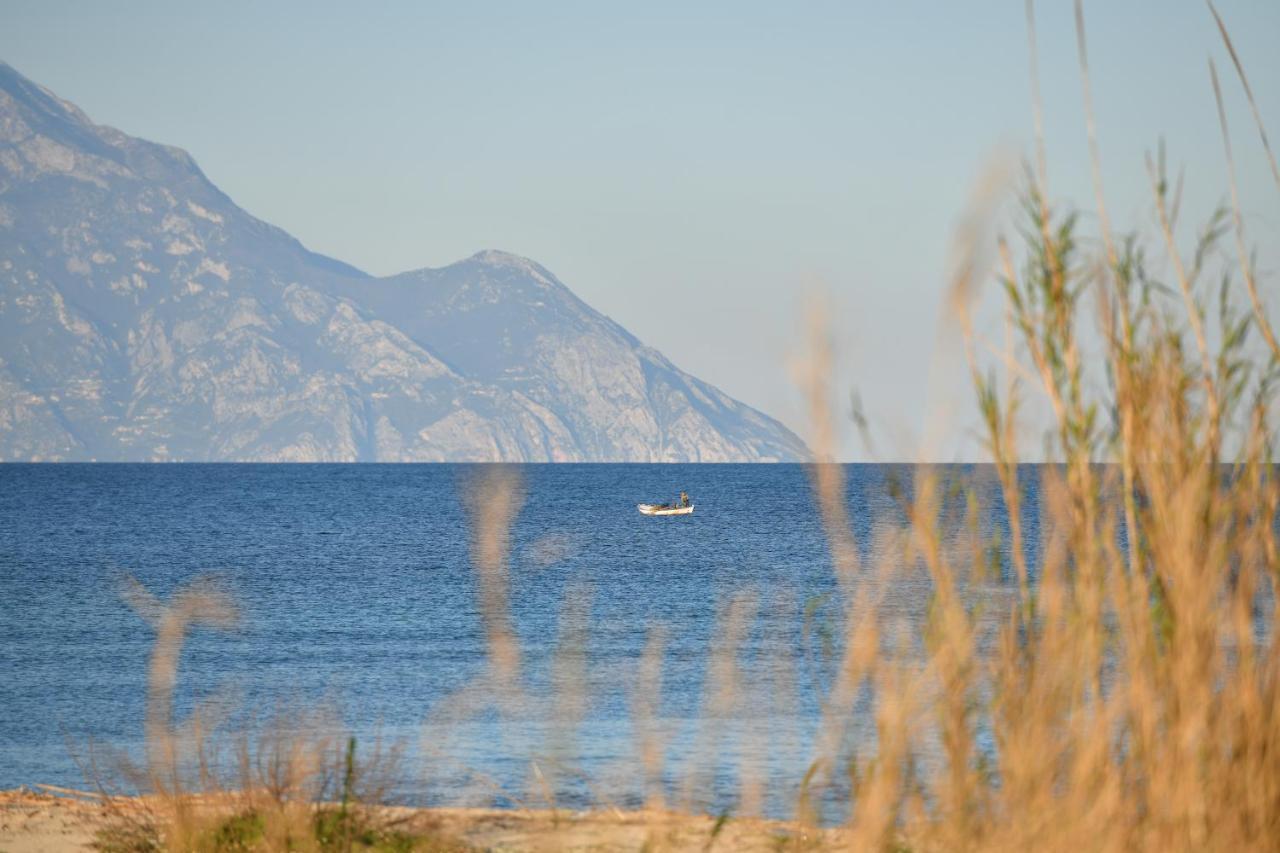 Villa Menie - Golden Fig Sykia Lodge Paralia Sikias Екстериор снимка