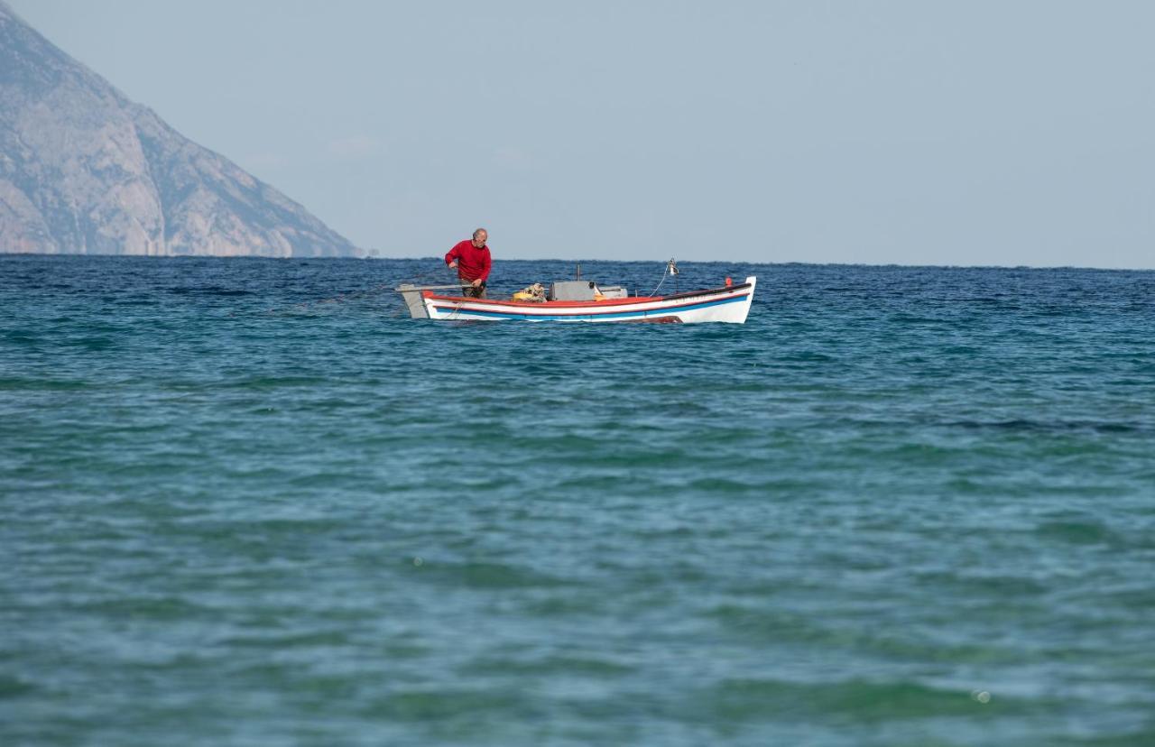 Villa Menie - Golden Fig Sykia Lodge Paralia Sikias Екстериор снимка